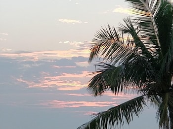 hotel samudra