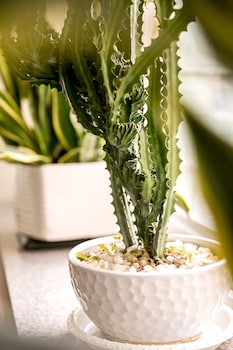 huang shin business hotel shan ah branch