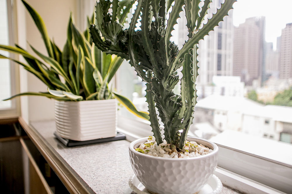 huang shin business hotel shan ah branch