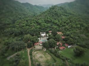 ghanerao jungle lodge