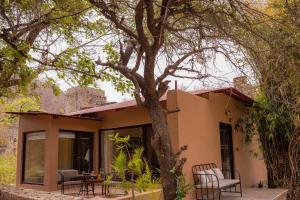 ghanerao jungle lodge