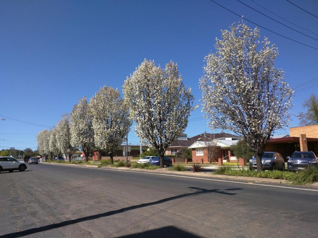 coonabarabran