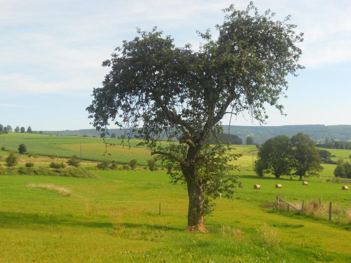 bandb domaine du vieux chene