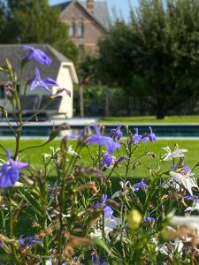 B&B Aline Florentine - Adults Only - Luxury B&B - Chambres D'hotes - Zimmer Frei,Kortenberg>>Everberg,4 star