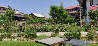 srinagar