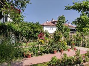 srinagar