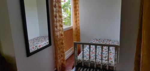 srinagar