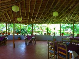 century resort dandeli