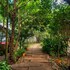 century resort dandeli