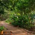century resort dandeli