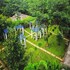 century resort dandeli
