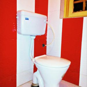 hotel fabulous kashmir