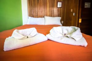 the adventure brew hostel