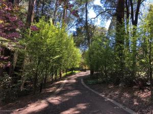 Lochiel Luxury Accommodation,Melbourne>>Kallista,4 star