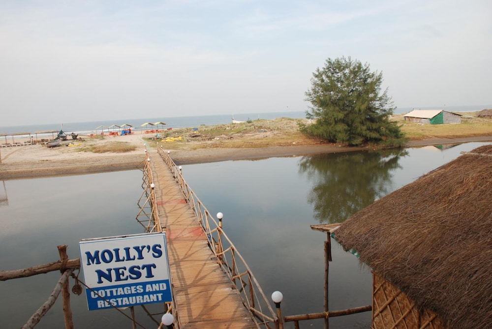 mollys nest