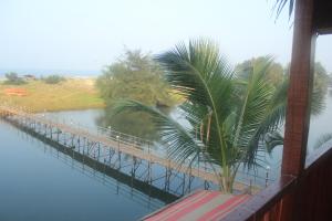 Mollys Nest,Mandrem>>Goa,3 star