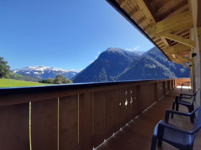 viehhofen
