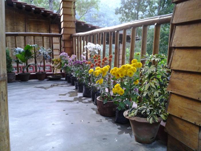tathaghat farm guest house