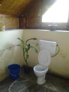 tathaghat farm guest house