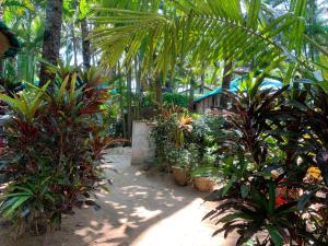 lacto cressida resort