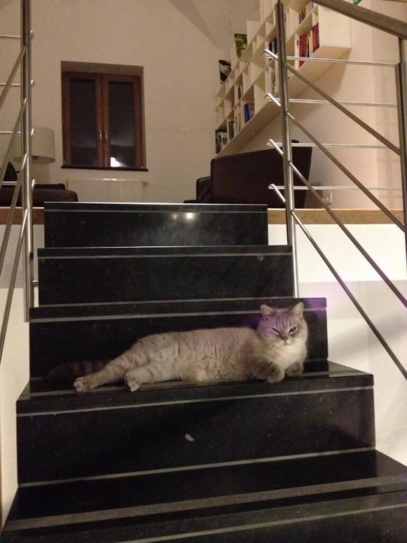 le presbytere de sautour