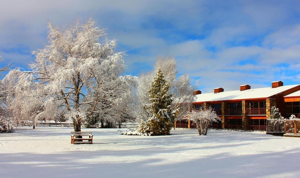 twizel