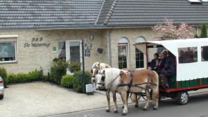 lommel