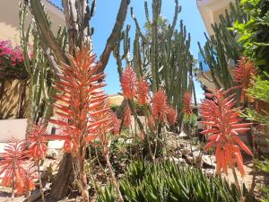 malama beach holiday village