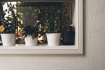 la passion interdite