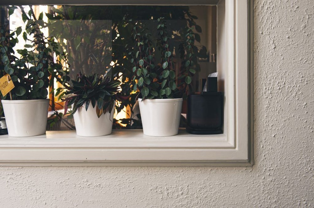 la passion interdite