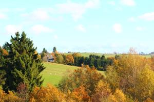 les alisiers