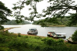 periyar woods