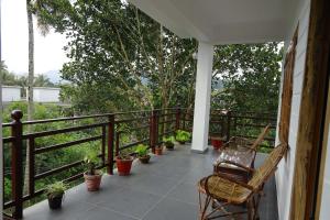 periyar woods
