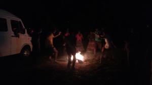 whispering pinewoods