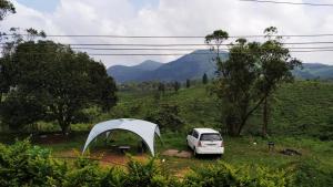 Whispering Pinewoods,Kuttikkanam>>Idukki,3 star