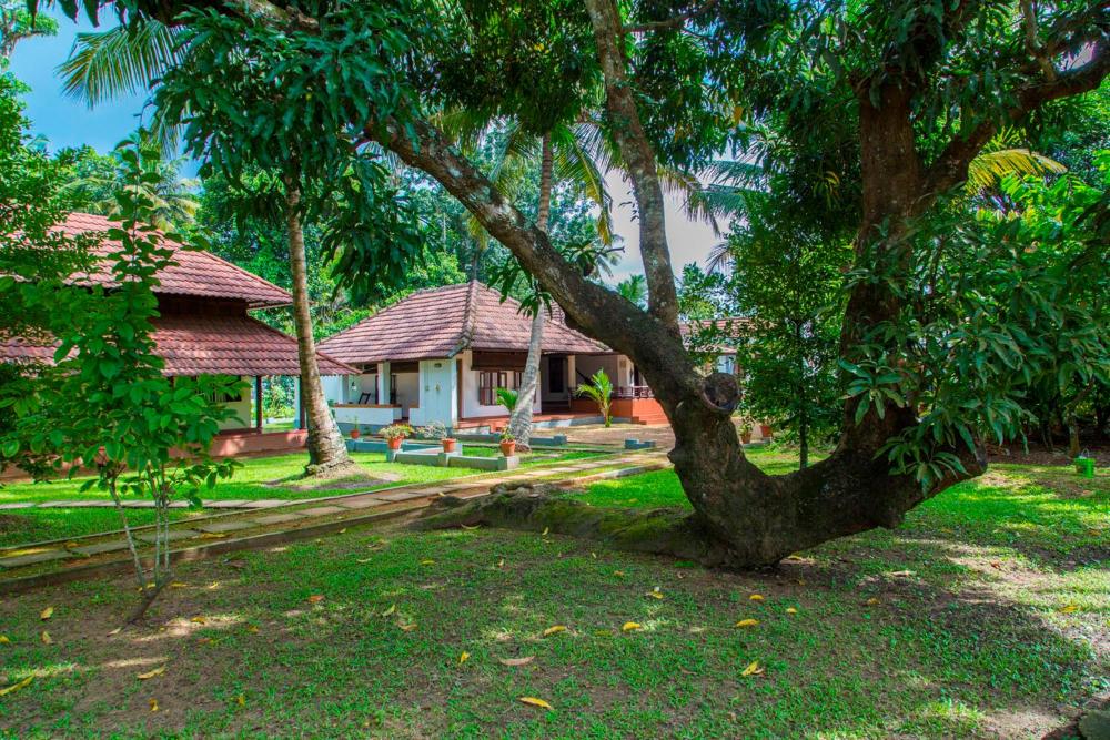 kurialacherry house