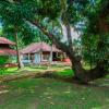 alleppey