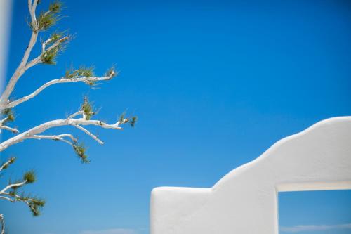 amyth of mykonos super paradise
