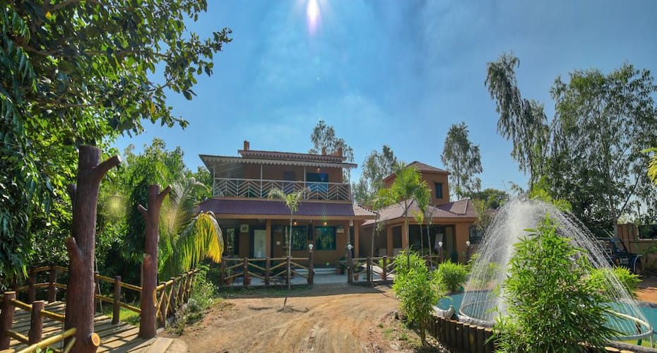 tadoba tiger king resort kolara gate