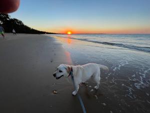 torquay terrace bed and breakfast