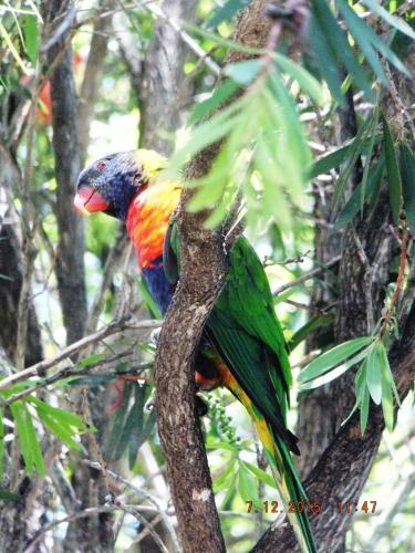 torquay terrace bed and breakfast