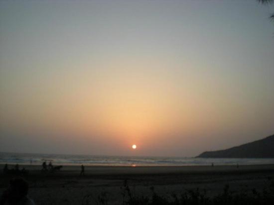 dapoli