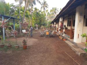 dapoli