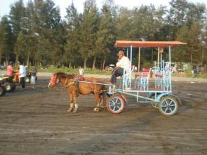 dapoli