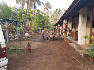 dapoli