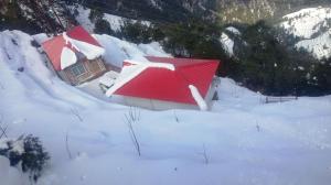 Mount View Dhanaulti Dreams,Dhanaulti>>Dehradun,3 star