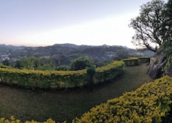 altus luxury homestay