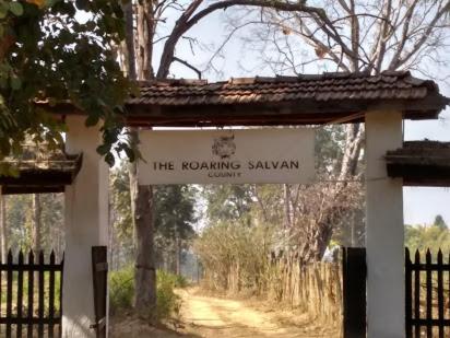 umaria