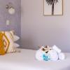 South Pacific Palms Motor Inn,Forster>>Byron Bay,2 star