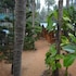 royal touch beach huts and restaurant